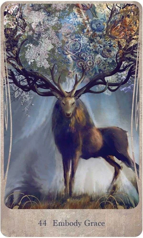 US Games Systems Divine Nature Oracle Kortų Ir Knygos Rinkinys