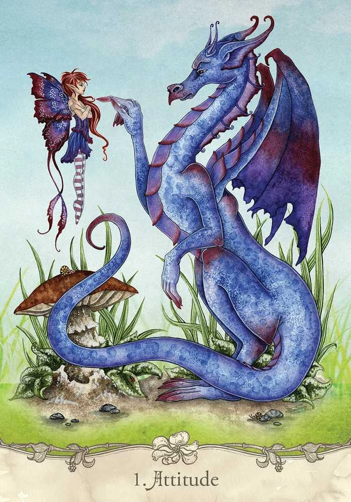US Games Systems Fairy Wisdom Oracle Kortos Ir Knyga