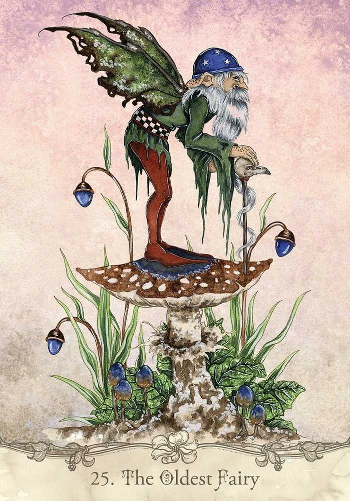 US Games Systems Fairy Wisdom Oracle Kortos Ir Knyga