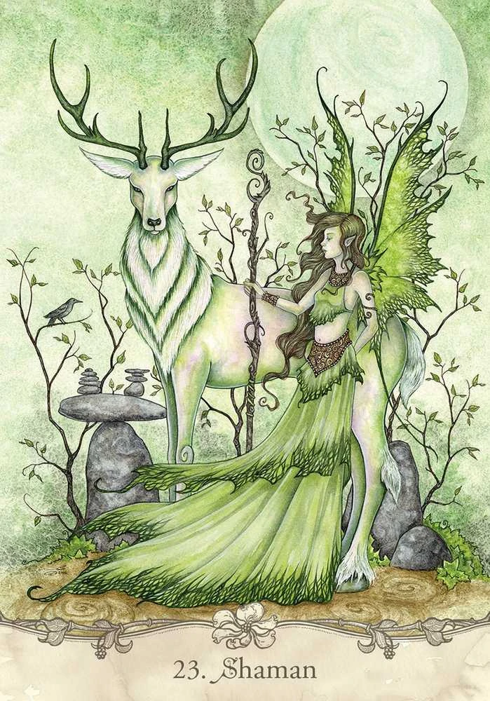 US Games Systems Fairy Wisdom Oracle Kortos Ir Knyga