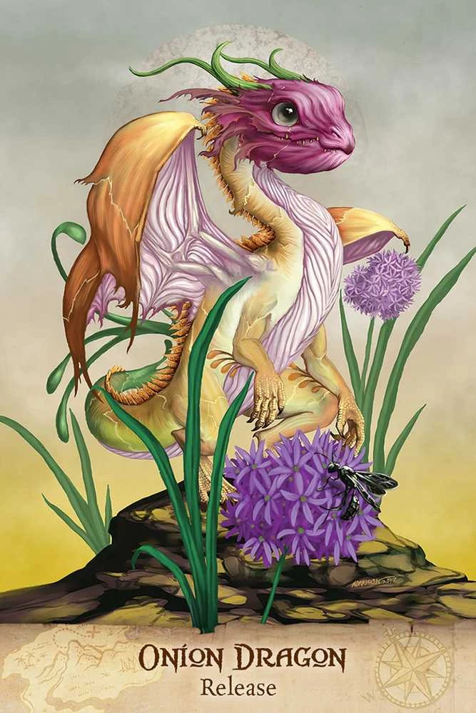 US Games Systems Field Guide To Garden Dragons Taro Kortos