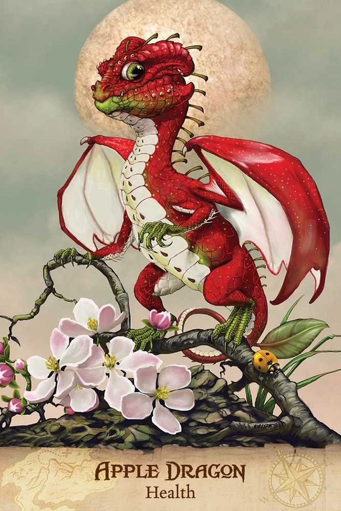 US Games Systems Field Guide To Garden Dragons Taro Kortos