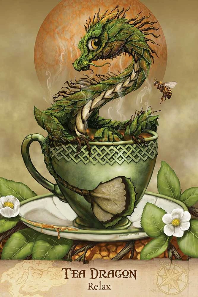 US Games Systems Field Guide To Garden Dragons Taro Kortos