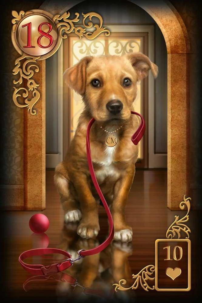 US Games Systems Gilded Reverie Lenormand Kortos