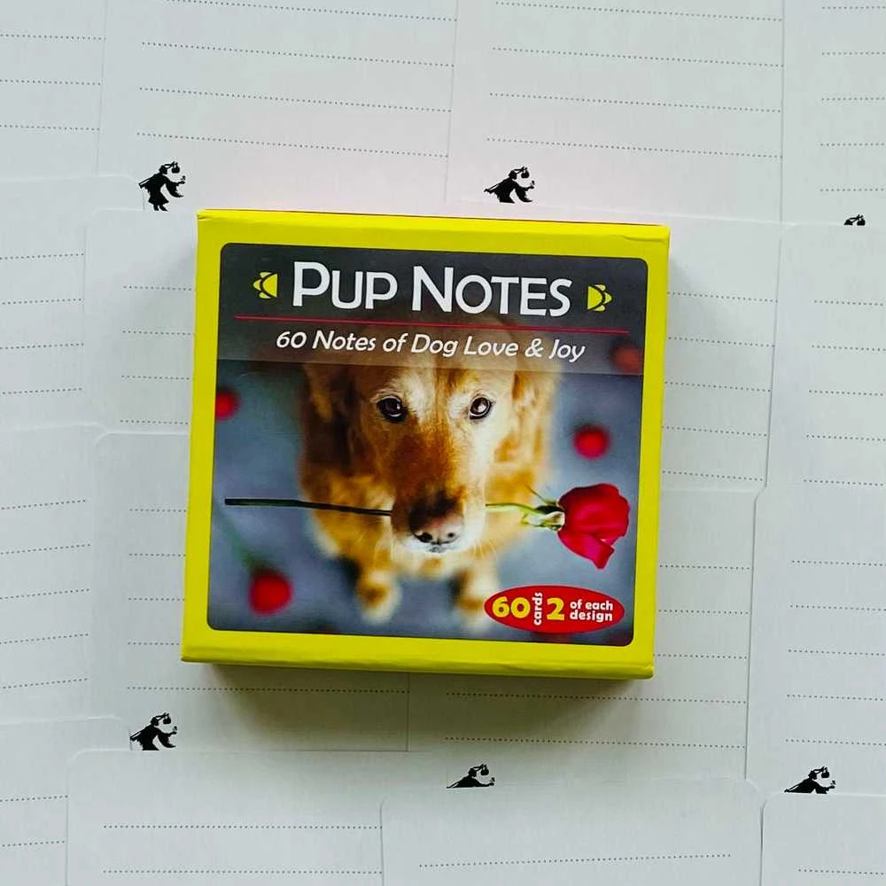 US Games Systems Inspirational Pup Notes: 60 Meilės Ir Džiaugsmo Kortų