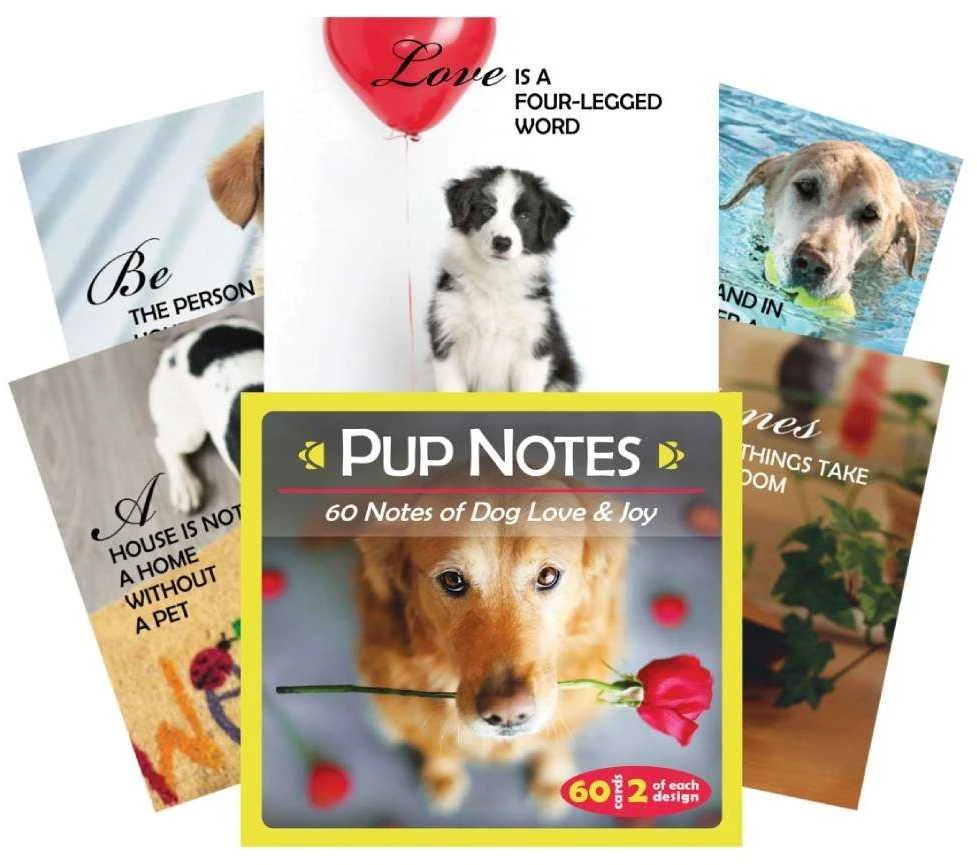 US Games Systems Inspirational Pup Notes: 60 Meilės Ir Džiaugsmo Kortų