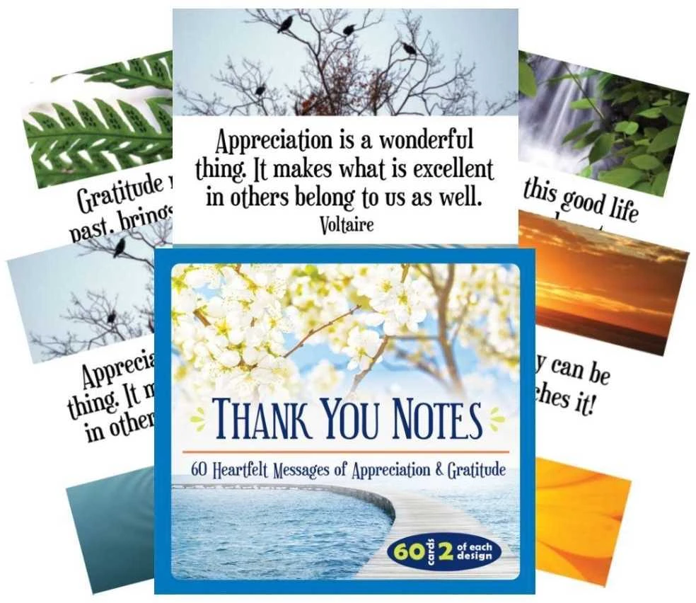 US Games Systems Inspirational Thank You Notes Kortos