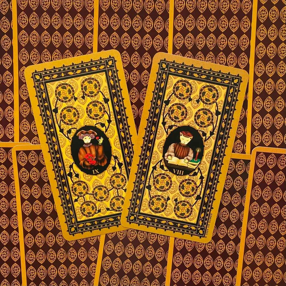 US Games Systems Medieval Cat Taro Kortos