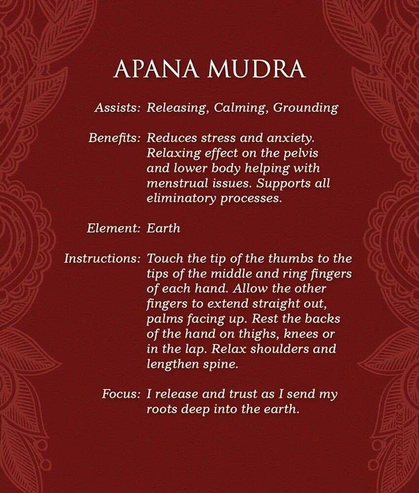 US Games Systems Mudras: For Awakening The Five Elements Kortos