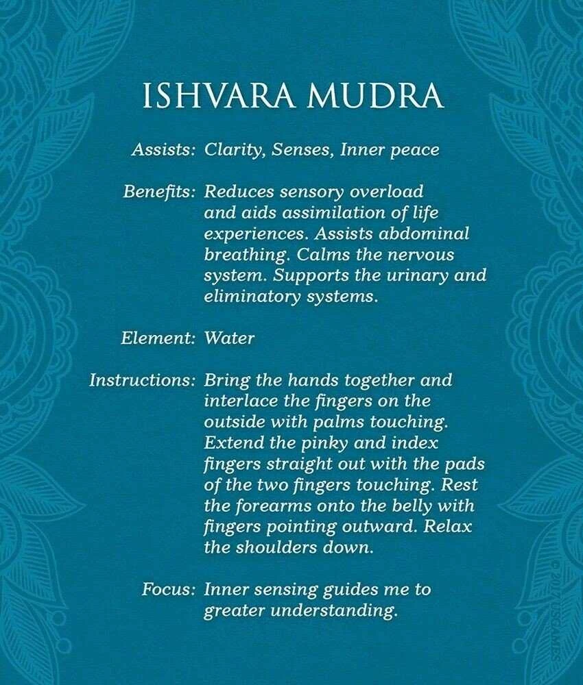 US Games Systems Mudras: For Awakening The Five Elements Kortos