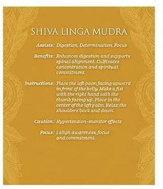 US Games Systems Mudras For Awakening The Energy Body Meditacinės Kortos Ir Knyga