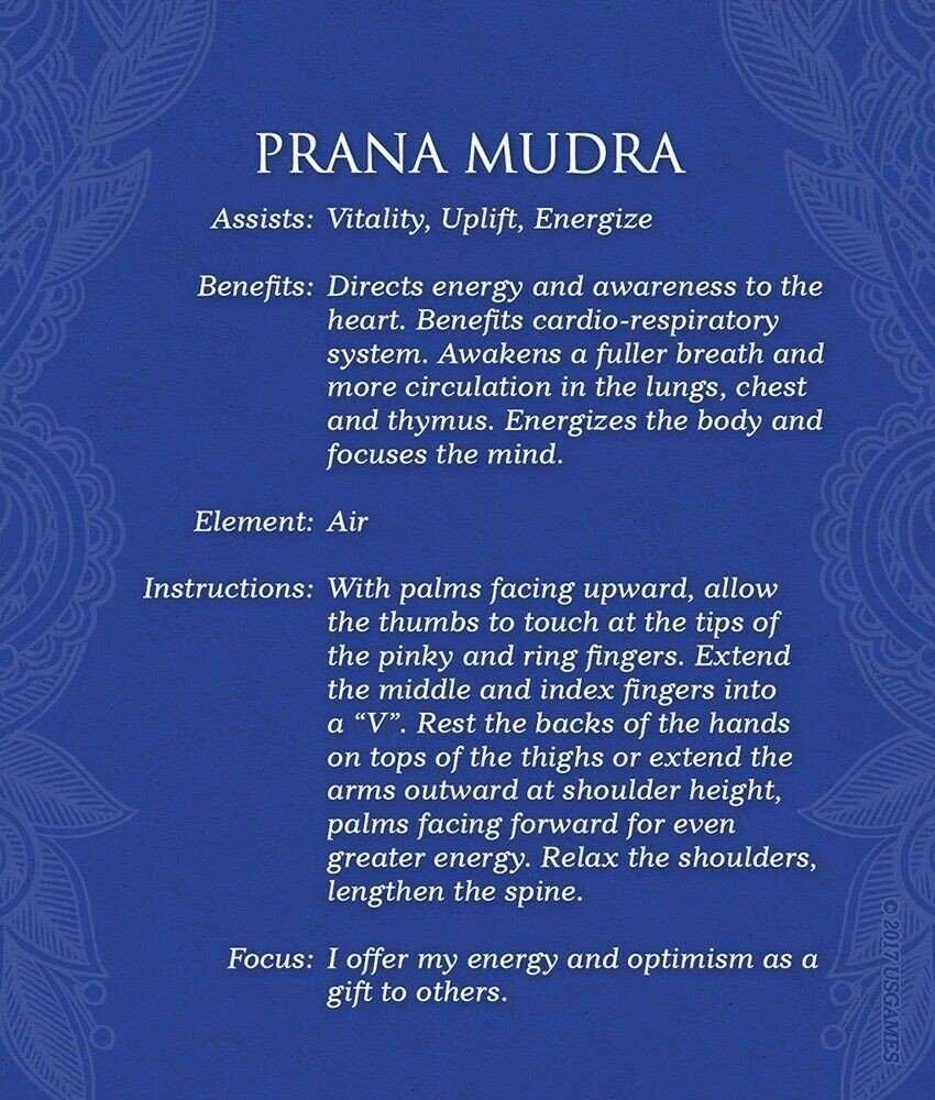 US Games Systems Mudras: For Awakening The Five Elements Kortos