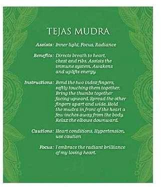 US Games Systems Mudras For Awakening The Energy Body Meditacinės Kortos Ir Knyga