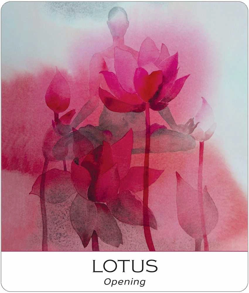 US Games Systems Nature And Soul Yoga Wisdom Kortos