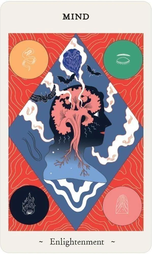 US Games Systems Oracle Of Novice Witches Kortos