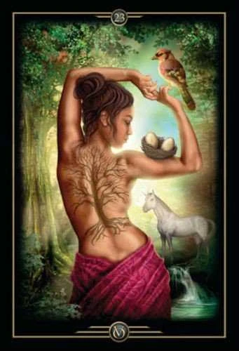US Games Systems Oracle Of Visions Kortos