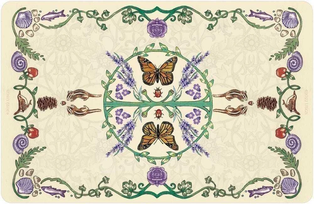 US Games Systems Pastoral Tarot Kortų Ir Knygos Rinkinys