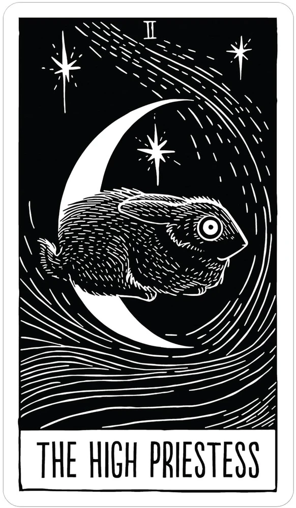 Us Games Systems Kolekcionuojamos Kortelės - The Star String Tarot Cards, 78 Bold Illustrations, Nature And Cosmos