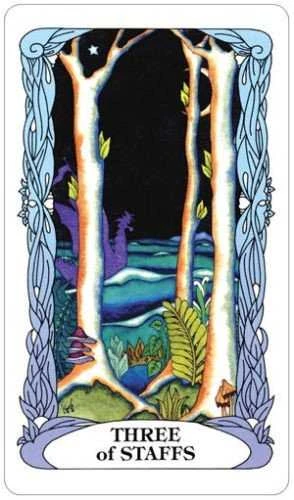 US Games Systems Tarot Of A Moon Garden Kortos