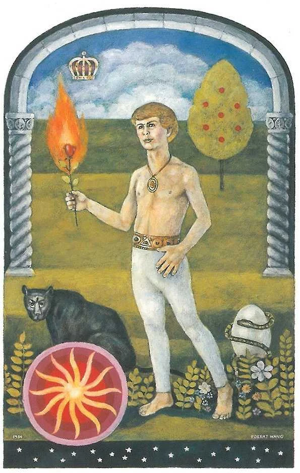 US Games Systems The Jungian Taro Kortos