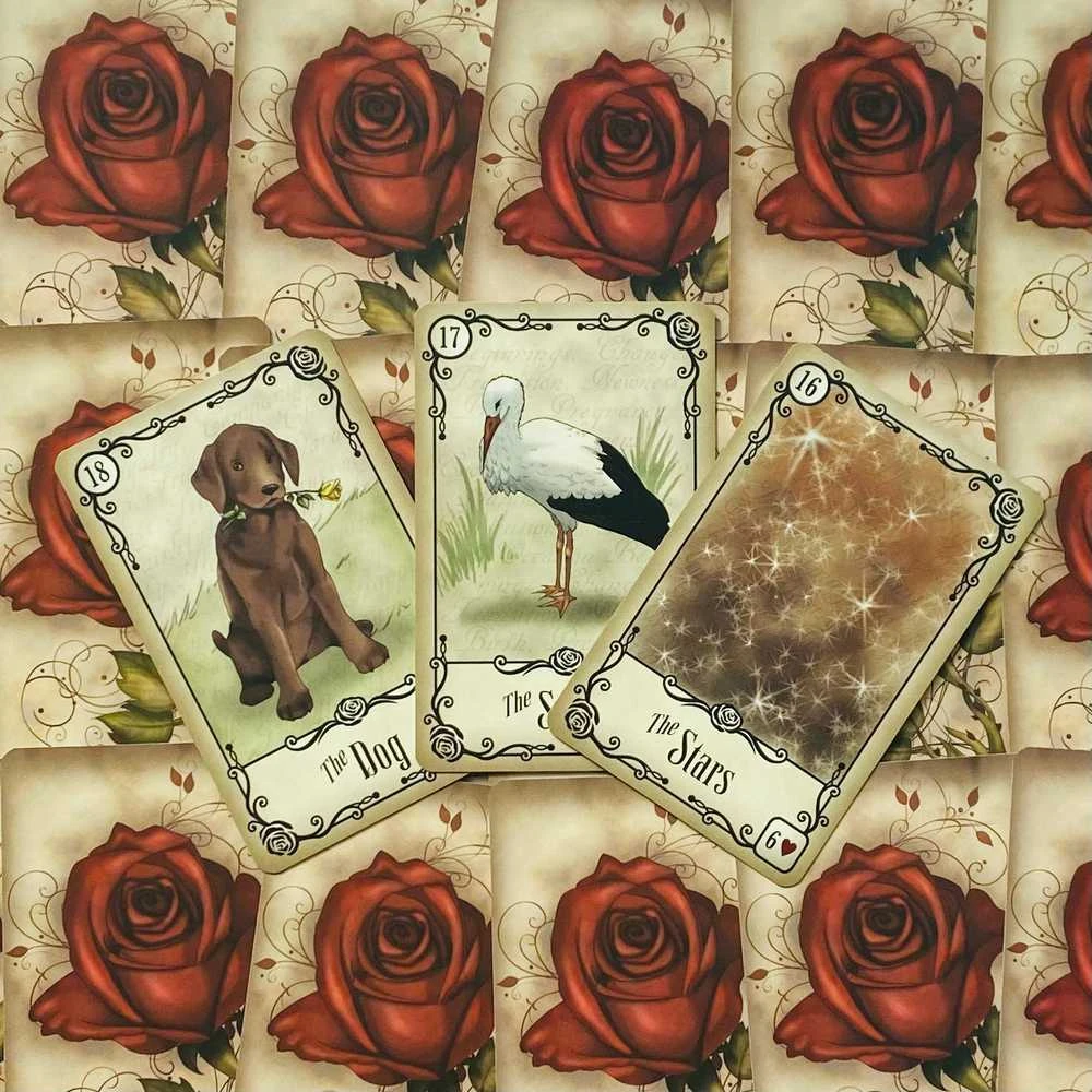 Us Games Systems JAV žaidimų sistemos po rožėmis Lenormand Kortos