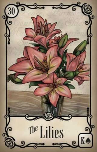 Us Games Systems JAV žaidimų sistemos po rožėmis Lenormand Kortos