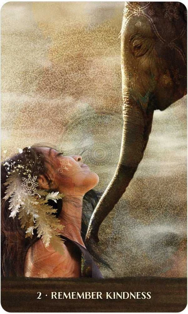 US Games Systems Wild Woman Rising Oracle Kortos