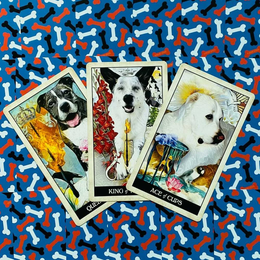US Games Systems Wise Dog Taro Kortos