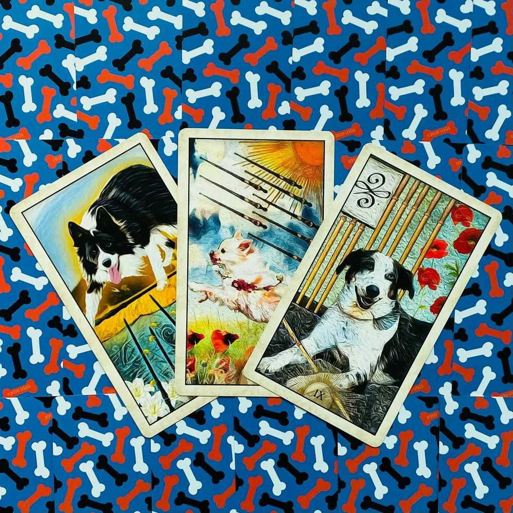 US Games Systems Wise Dog Taro Kortos
