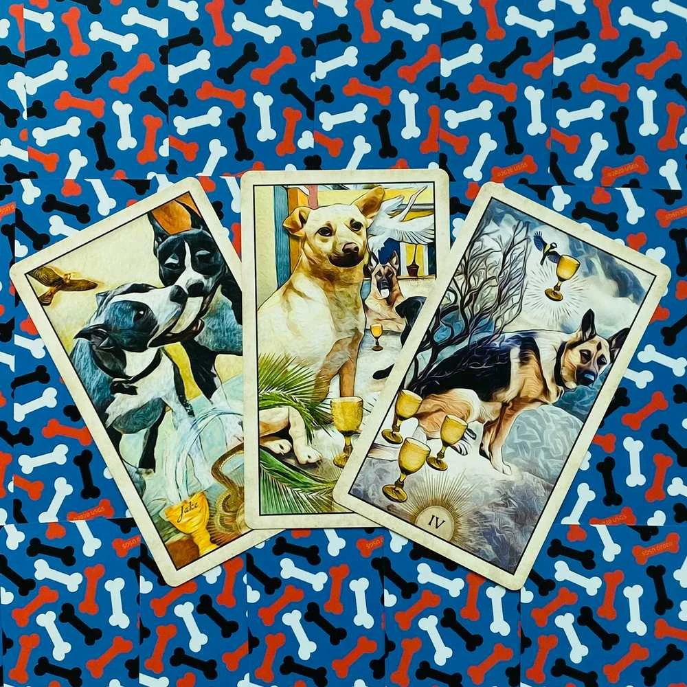 US Games Systems Wise Dog Taro Kortos