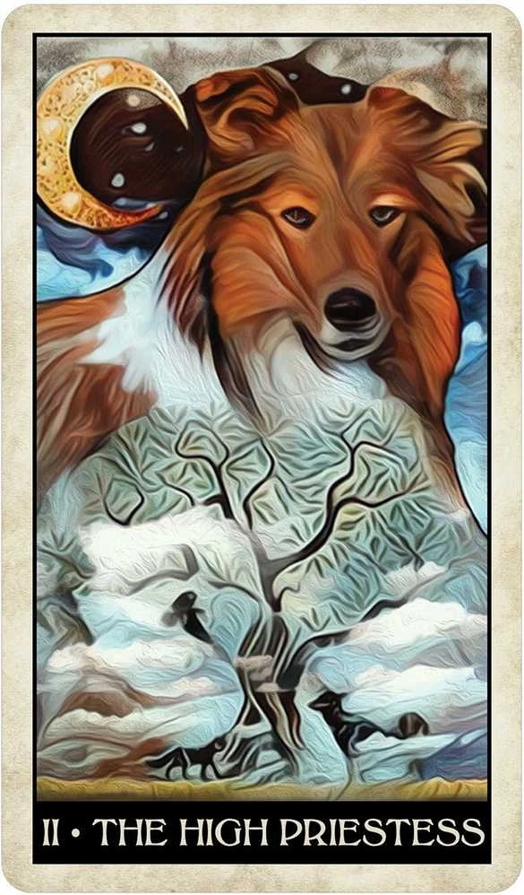 US Games Systems Wise Dog Taro Kortos