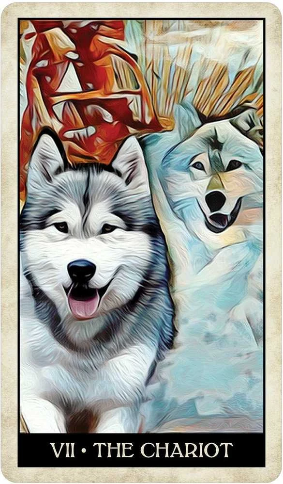 US Games Systems Wise Dog Taro Kortos