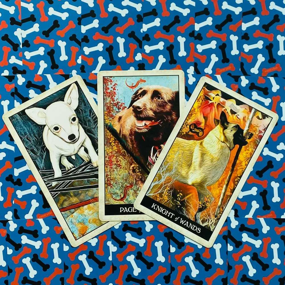US Games Systems Wise Dog Taro Kortos