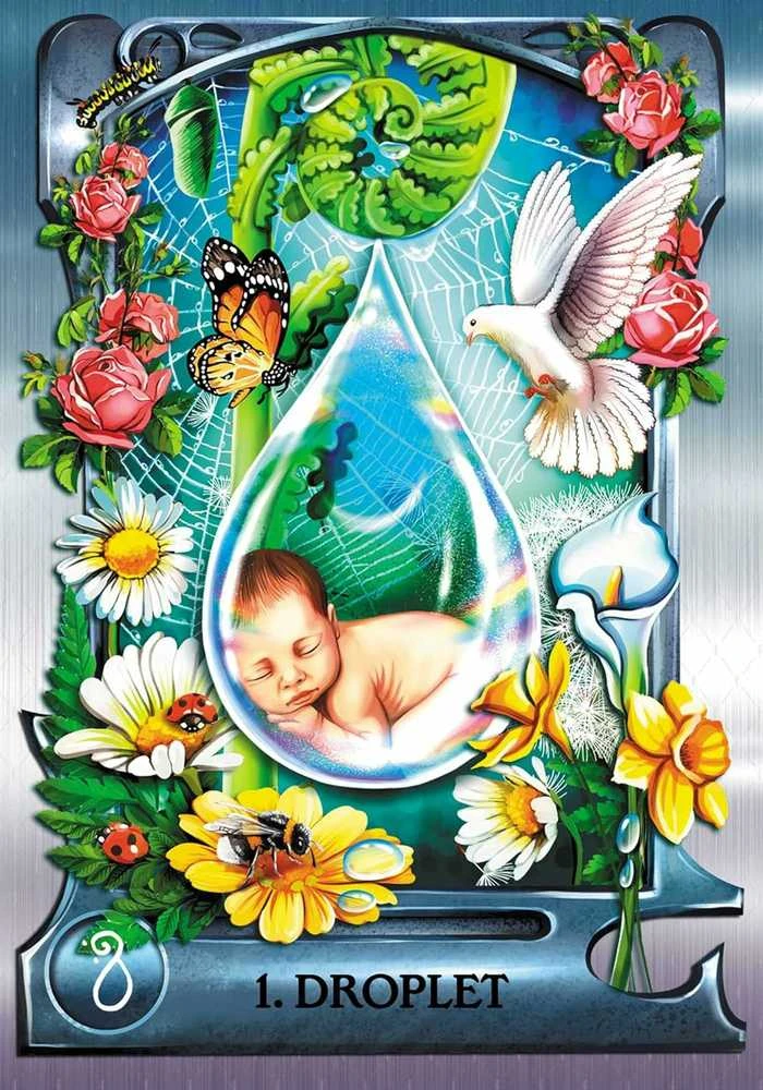 Vanduo Alchemy Oracle kortos Findhorn Press