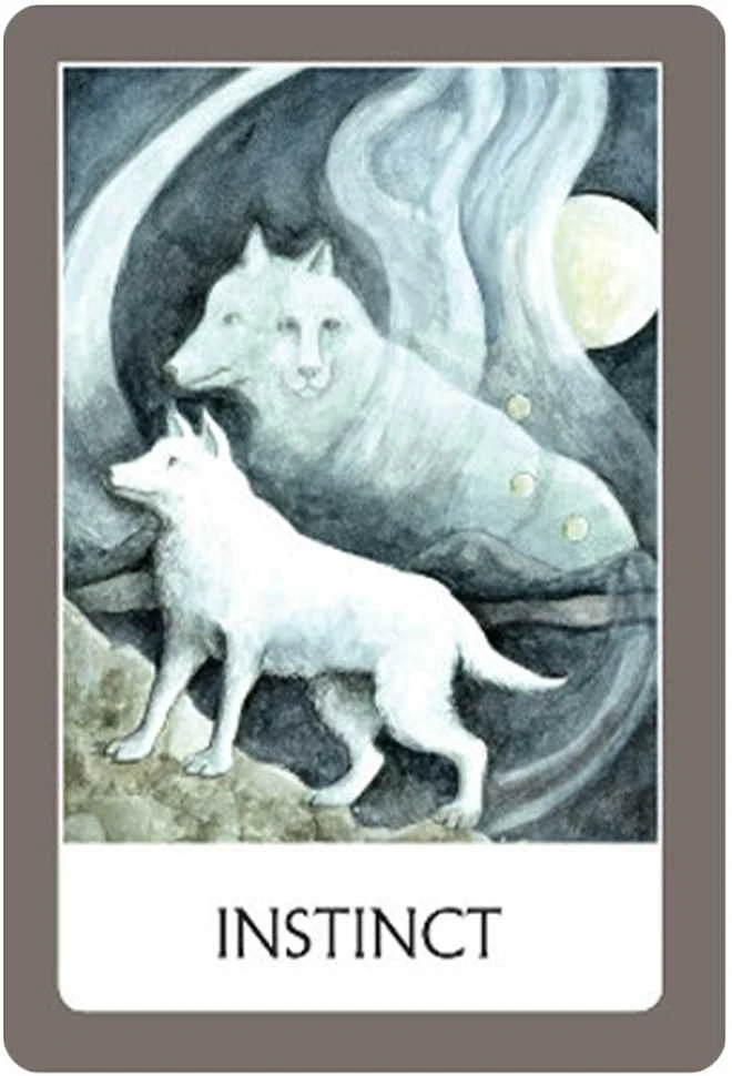 Orakulo Kortos Chakra Wisdom Watkins Publishing