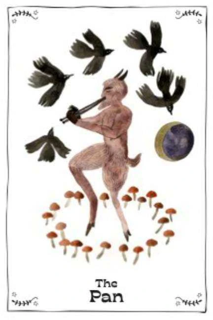 Watkins Publishing Orakulo kortų rinkinys - The Witch's Shadow Work Oracle 40 Kortų Rinkinys su Knygele