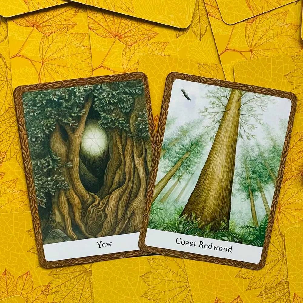 Orakulo Kortos The Wisdom Of Trees Watkins Publishing
