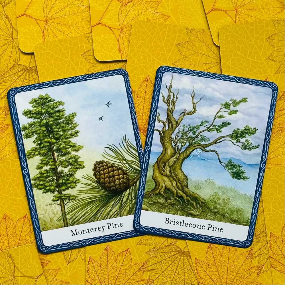 Orakulo Kortos The Wisdom Of Trees Watkins Publishing