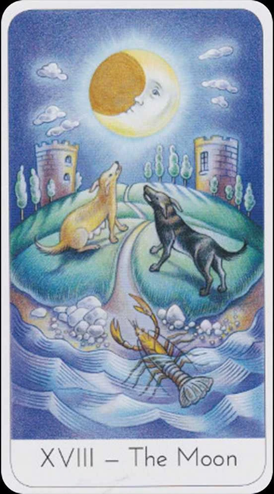 Watkins Publishing The Wisdom Seeker's Tarot Kortos