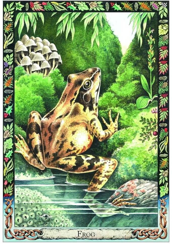The Celtic Tree Oracle kortos Welbeck Publishing