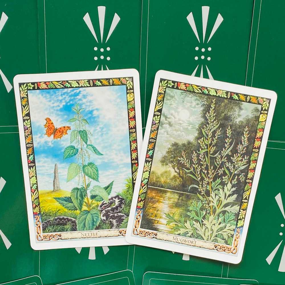 KNYGA Welbeck Publishing The Druid Plant Oracle Kortos