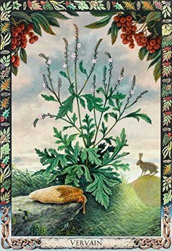 KNYGA Welbeck Publishing The Druid Plant Oracle Kortos
