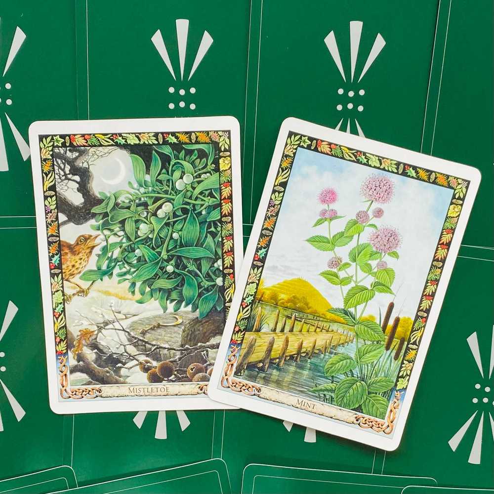 KNYGA Welbeck Publishing The Druid Plant Oracle Kortos