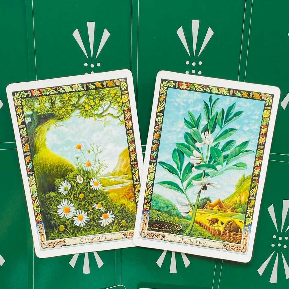 KNYGA Welbeck Publishing The Druid Plant Oracle Kortos