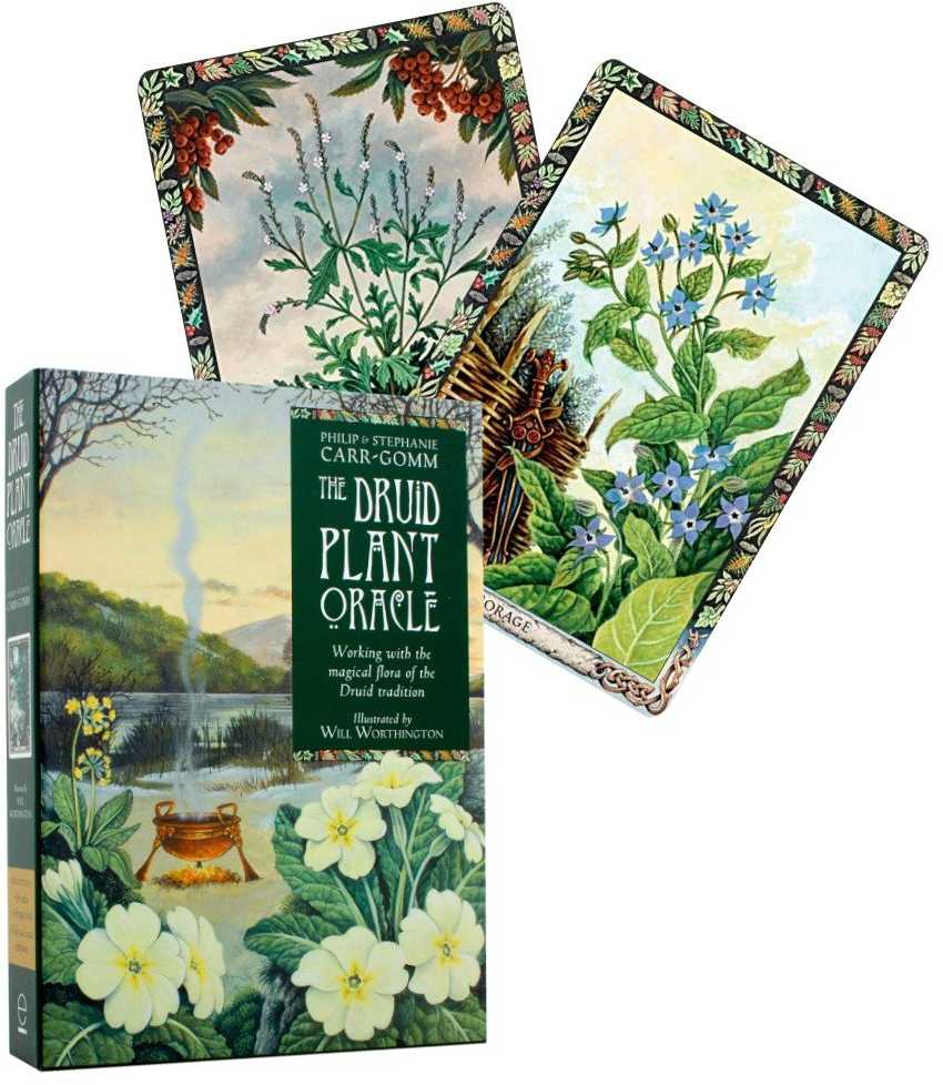 KNYGA Welbeck Publishing The Druid Plant Oracle Kortos