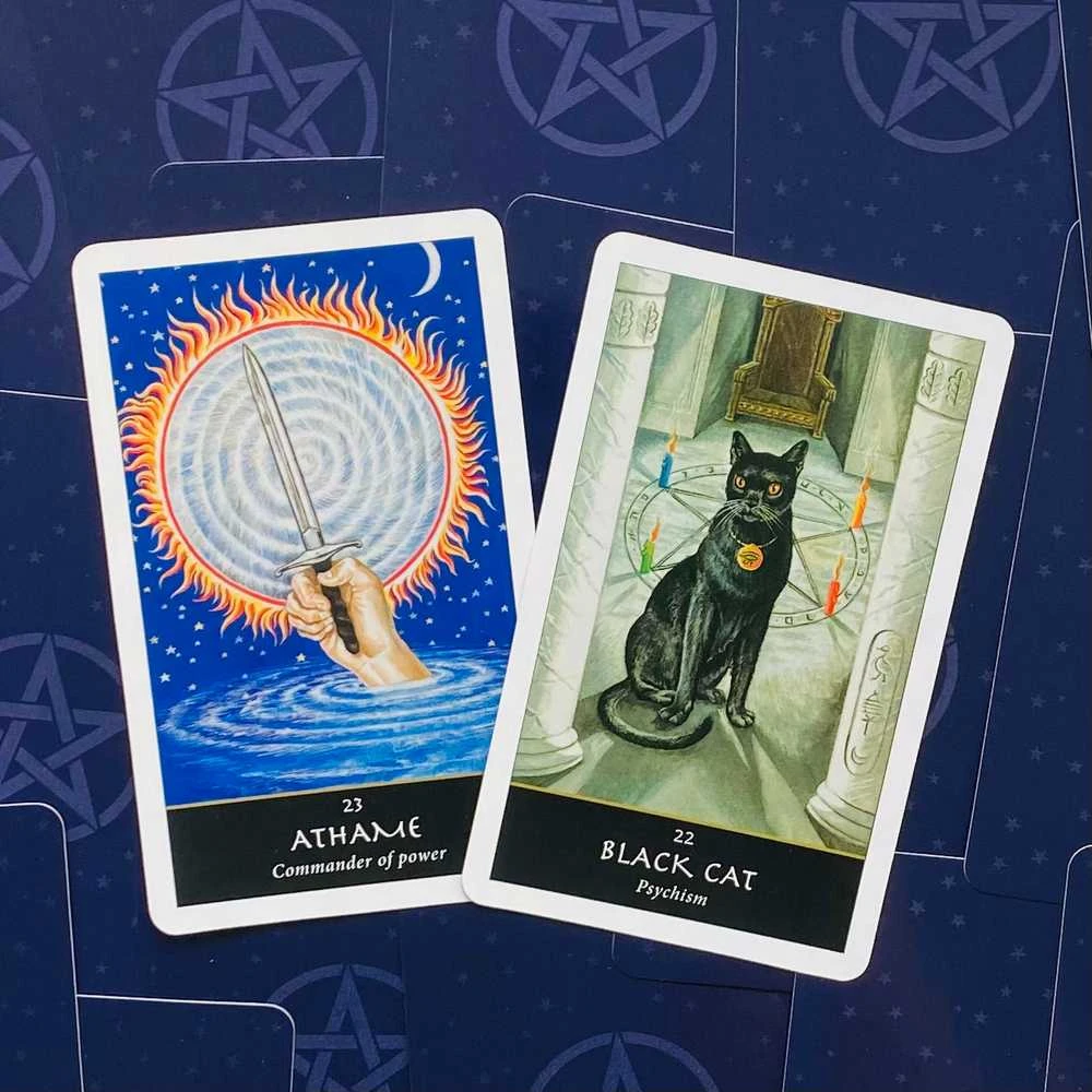 Welbeck Publishing The Witches Oracle kortos