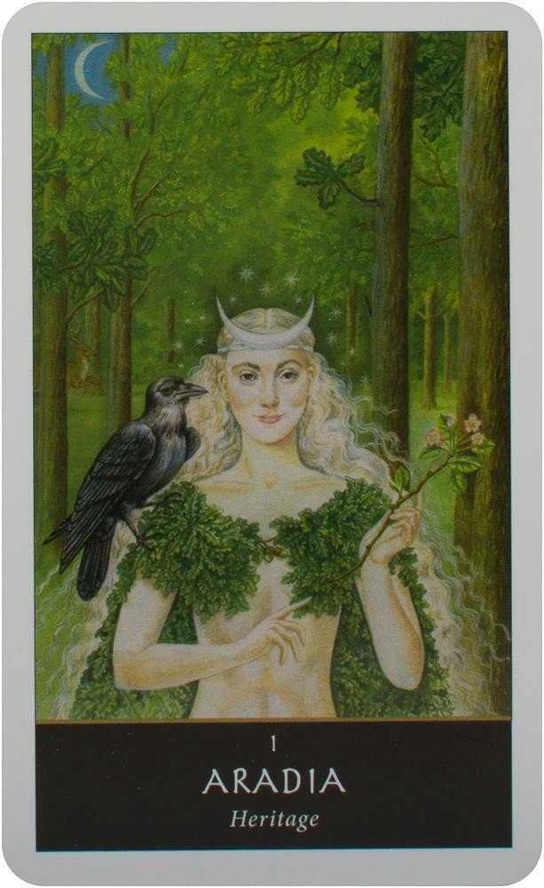 Welbeck Publishing The Witches Oracle kortos