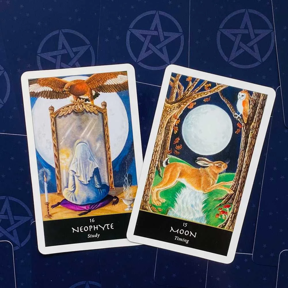 Welbeck Publishing The Witches Oracle kortos