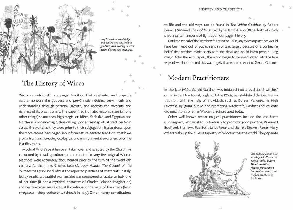 Welbeck Publishing The Witches Oracle kortos