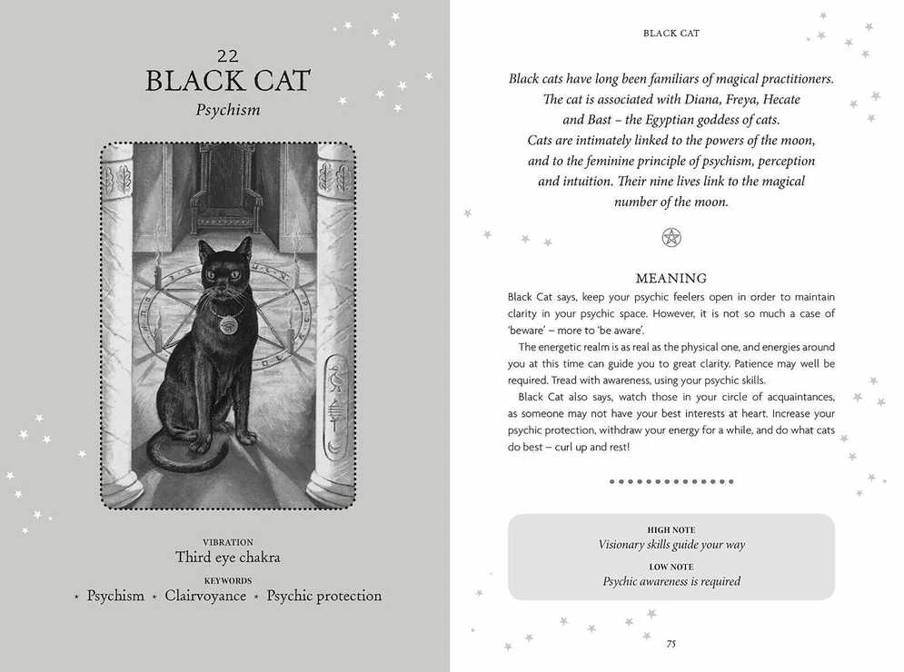 Welbeck Publishing The Witches Oracle kortos